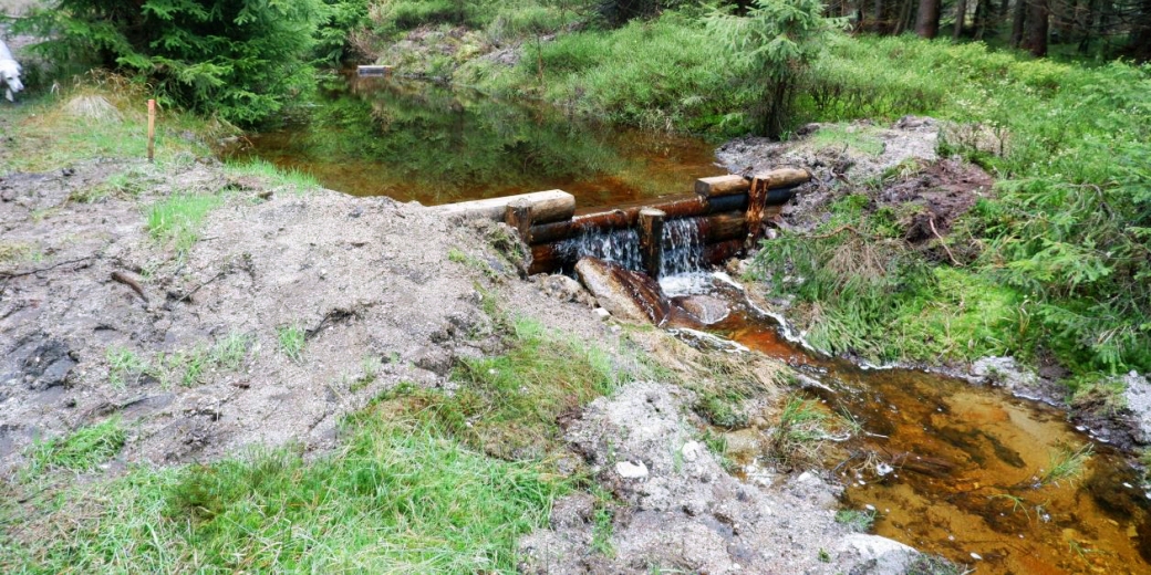 Revitalizace pramenné části Černého potoka  