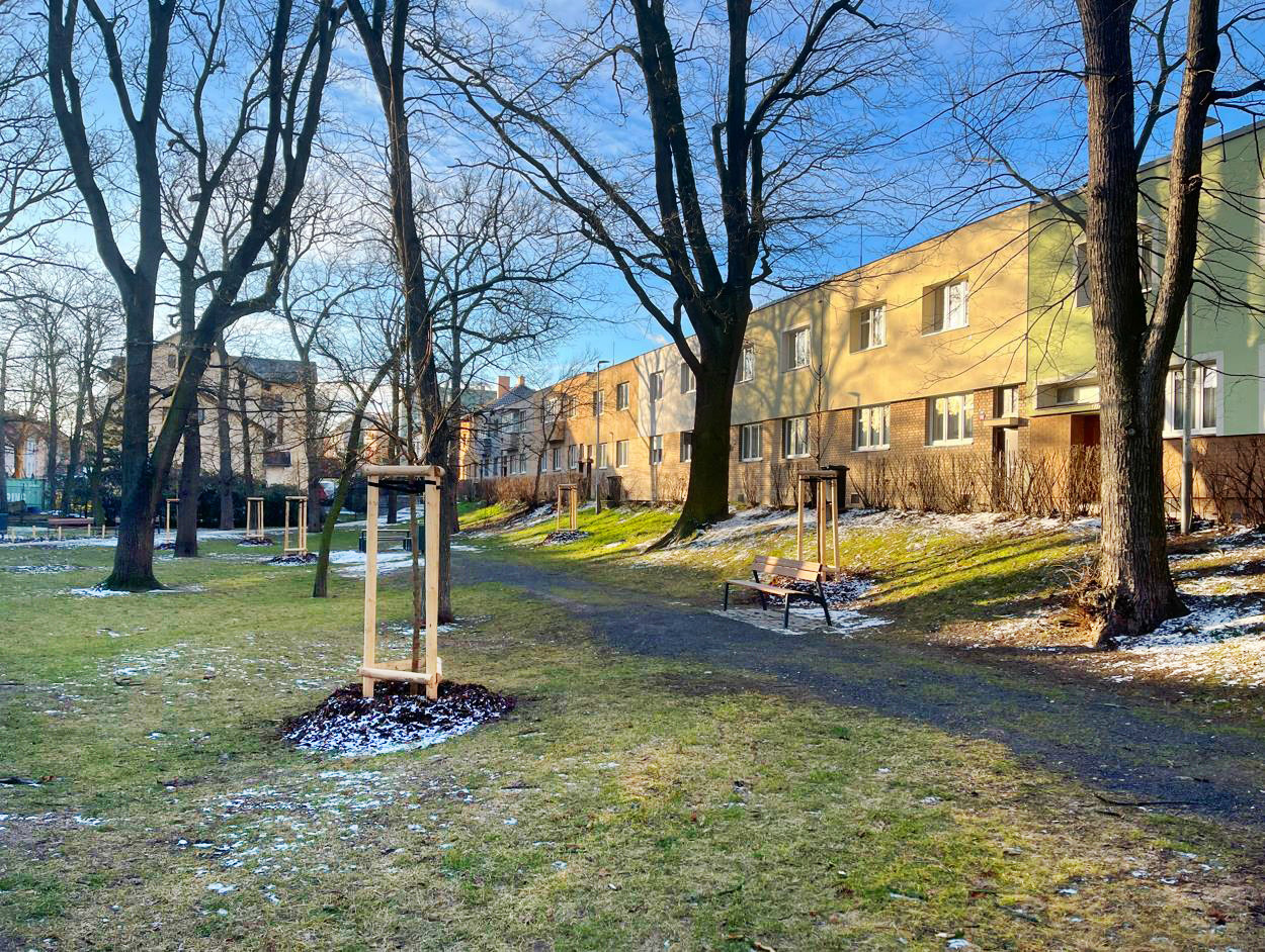 Obnova/vegetační úpravy městského parku Holárkovy sady v Lounech