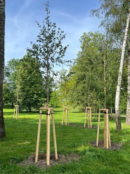 Krajinářské úpravy Městských sadů v Opavě