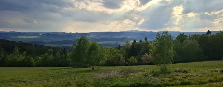 Pohled do otevřené krajiny Blanského lesa.