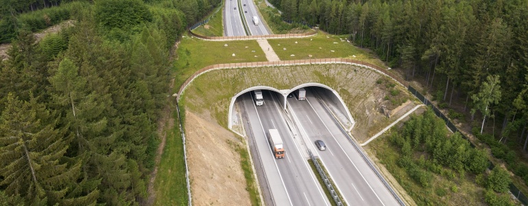 Animal crossing over the highway.