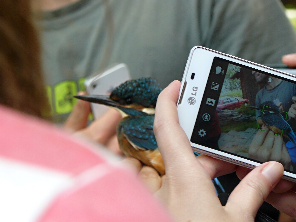 lenáček a fotografové