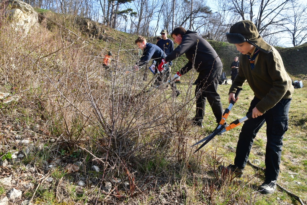 Skauti stříhají nálety stromů a keřů.