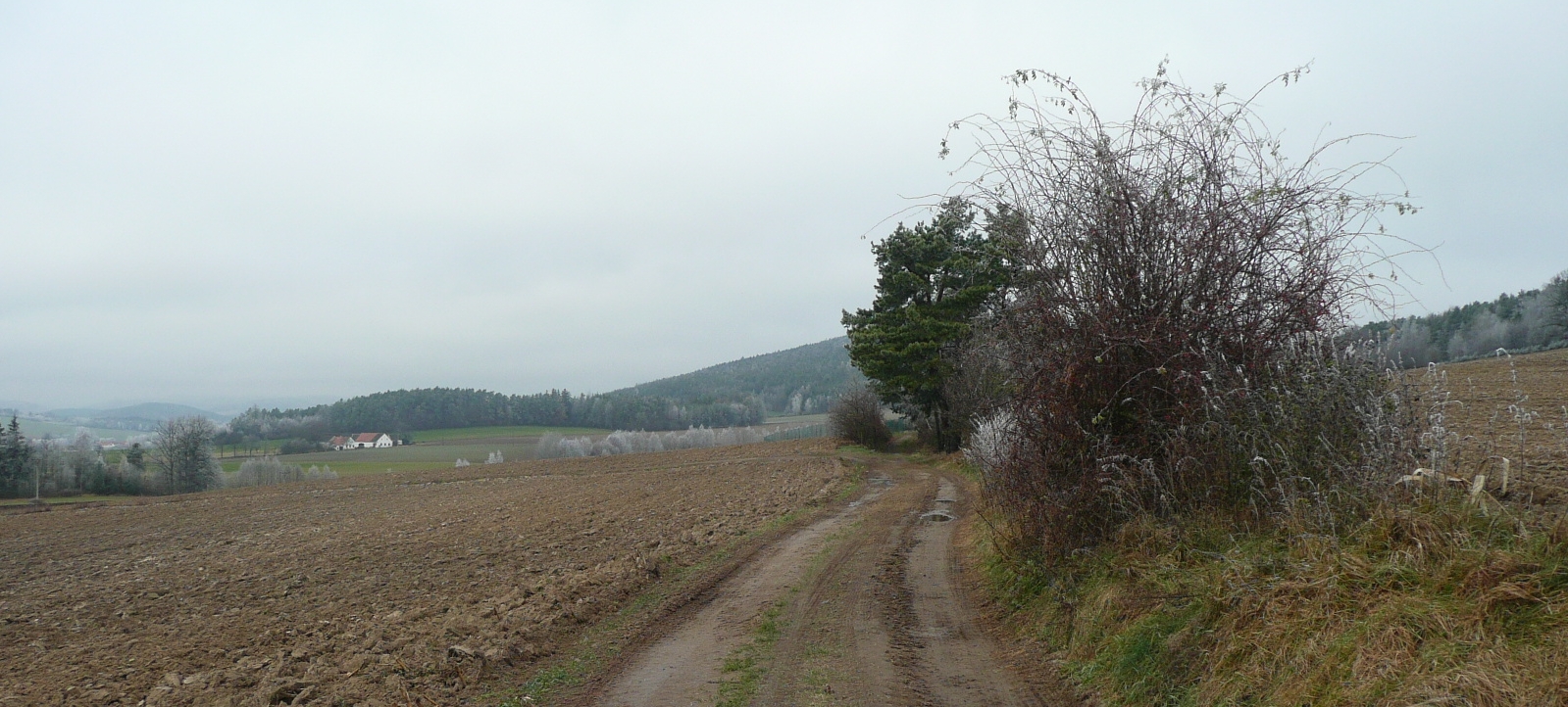 Zima v Blanském lese. Foto Kamila Žifčáková.