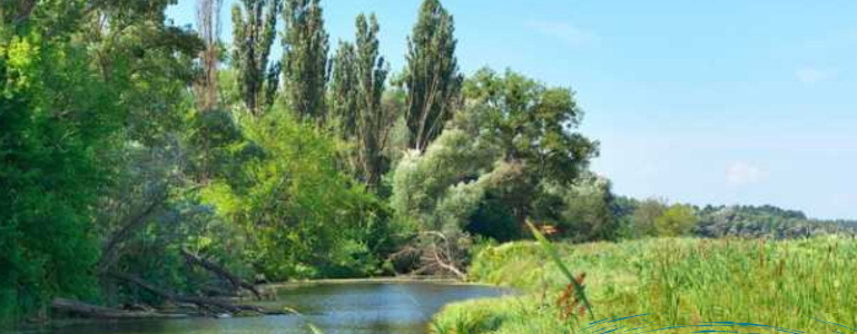 Pohled na řeku a okolní břehy.
