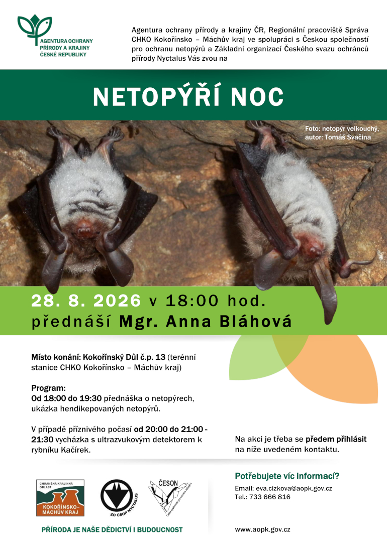 Pozvánka na Netopýří noc v Kokořínském Dole.