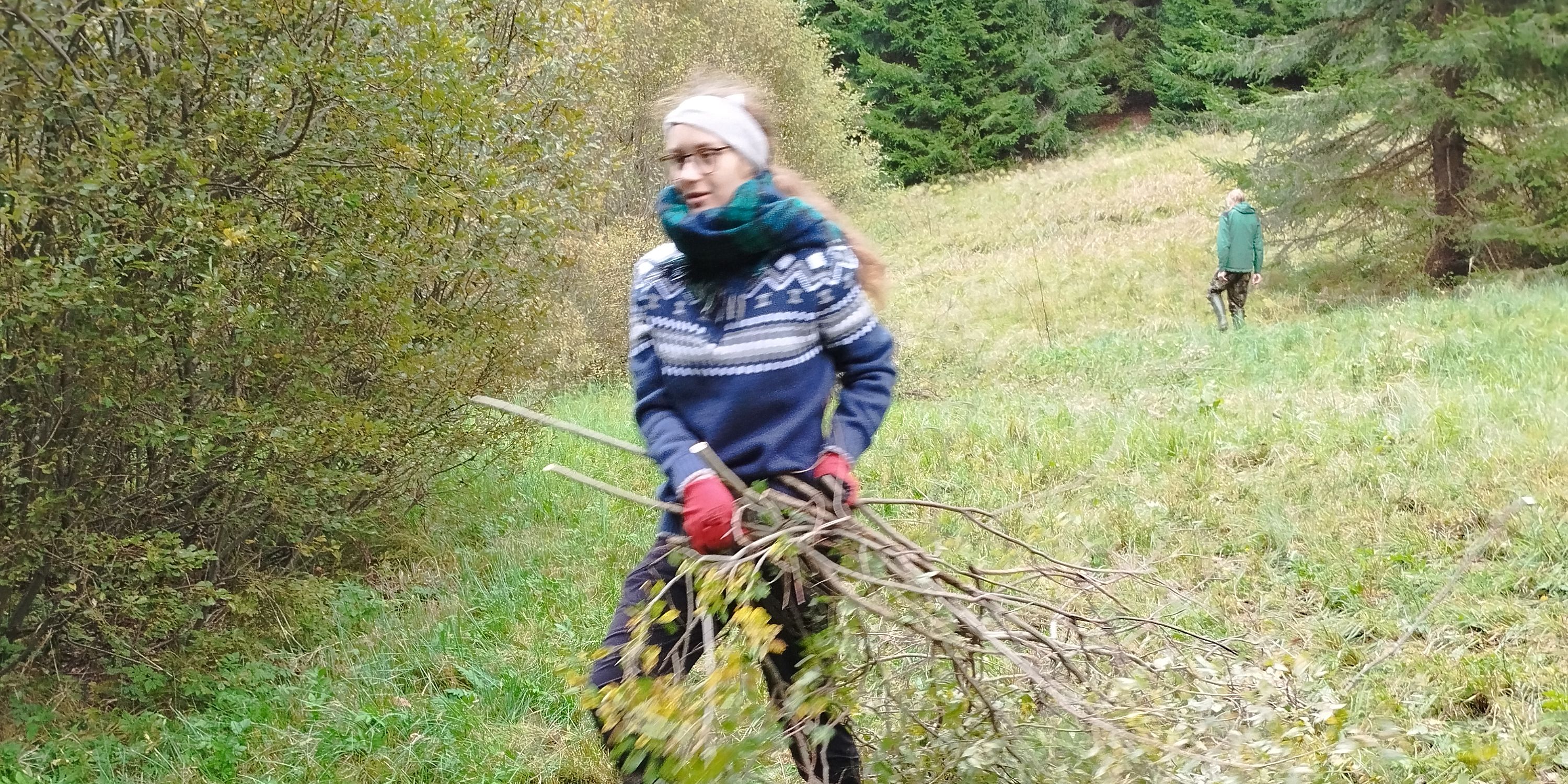 Vrbové křoviny pokácet a rozsekat na drobnější části. foto: Barbora Šťáskov