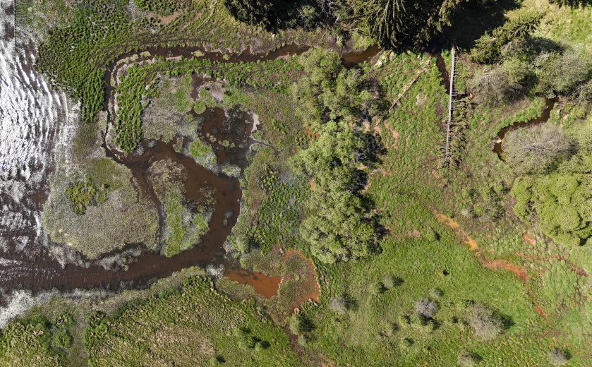 Výstava Slavkovský les v obrazech v Domě Chopin