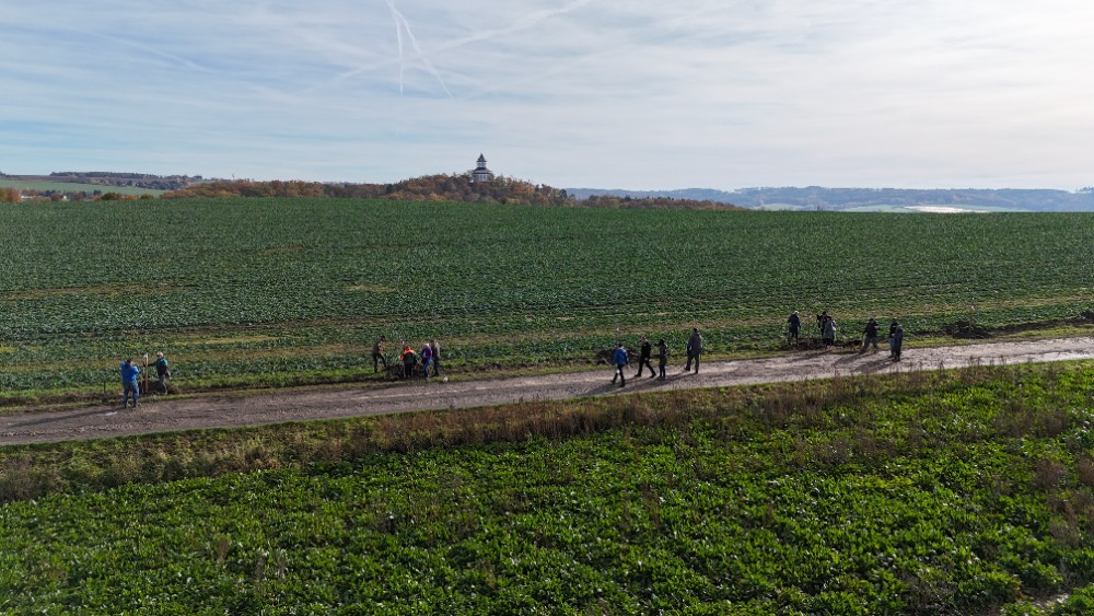 70 let CHKO Český ráj připomíná nová ovocná alej pod Humprechtem